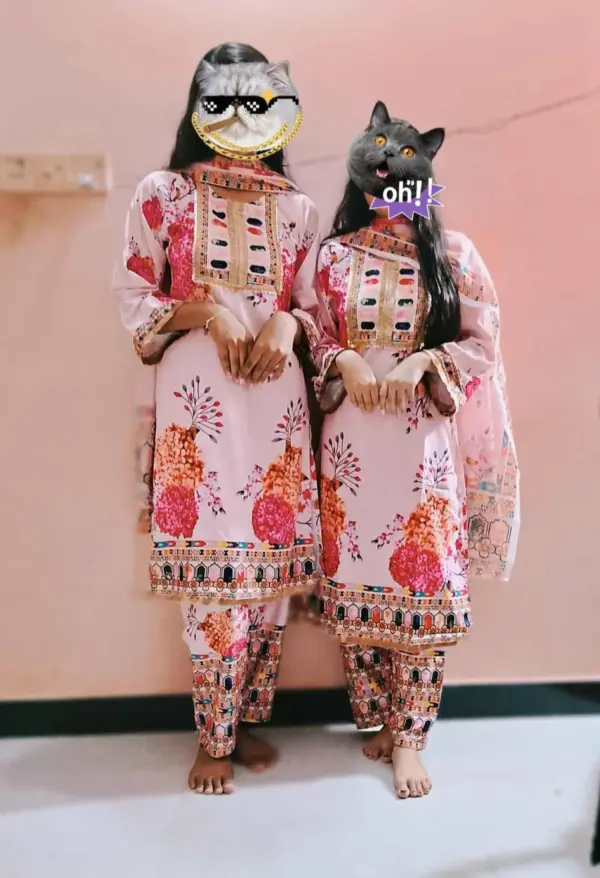 media_69c6b93a2d0c6 Stylish Women’s Festive Wear Dress