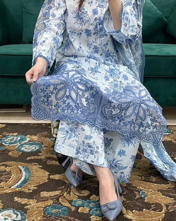 media_69c79827ba9e3 đĢ â¨Beautiful Cutwork Embroidered Work kurta â