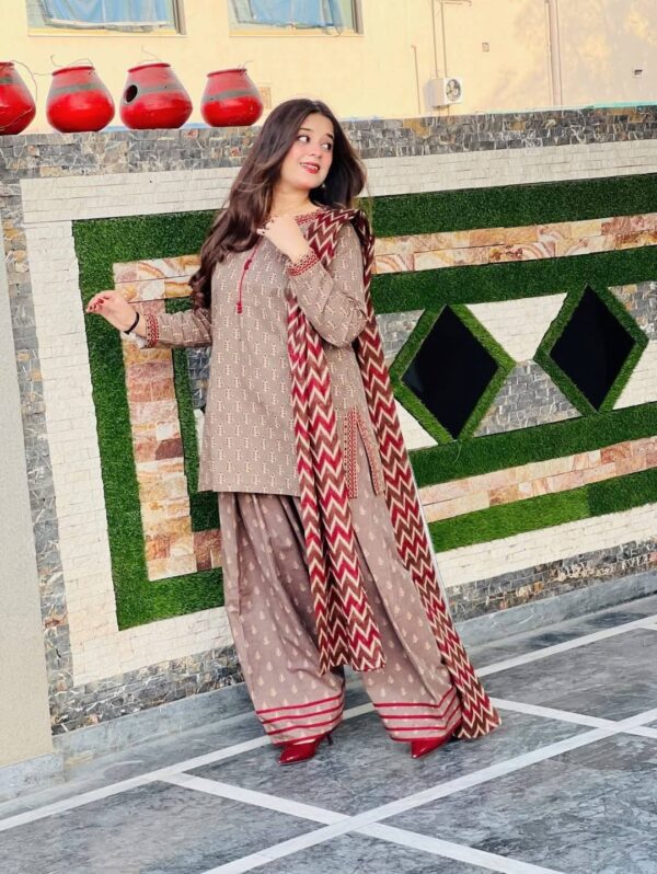 Afsana Farshi ✨ – Eid Exclusive 3 Piece Set