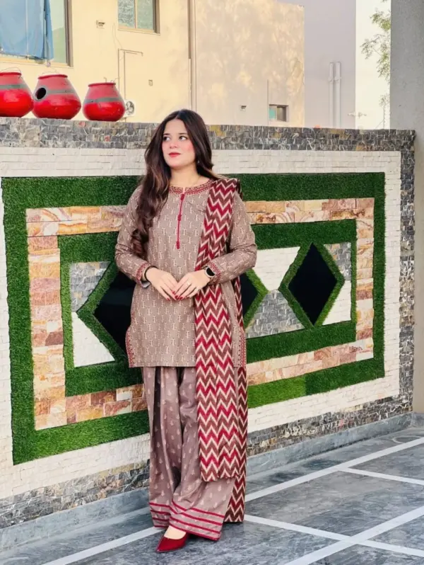 Afsana Farshi ✨ – Eid Exclusive 3 Piece Set