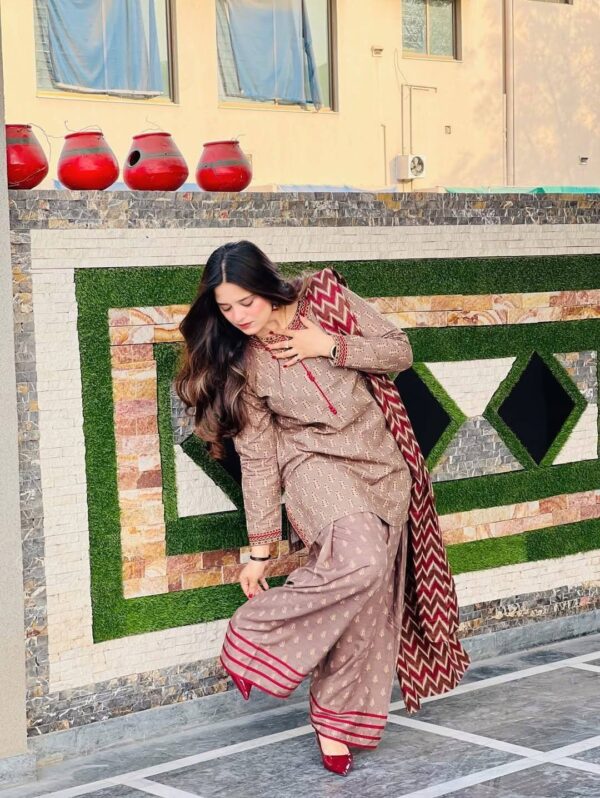 Afsana Farshi ✨ – Eid Exclusive 3 Piece Set