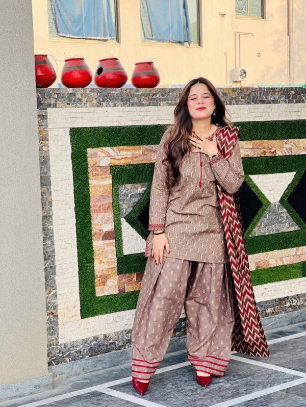 Afsana Farshi ✨ – Eid Exclusive 3 Piece Set