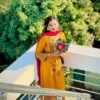 media_69c6c78053167 Mustard Embroidered Dress with Magenta Georgette Orna