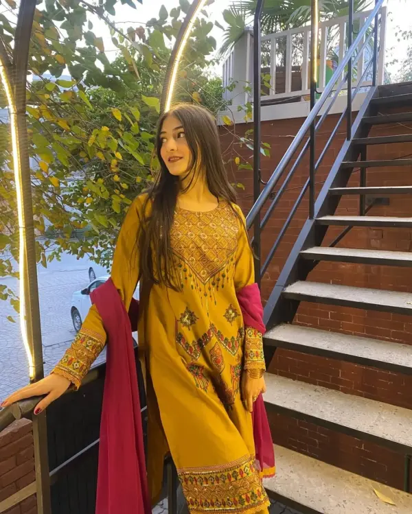 media_69c824a02a6df Mustard Embroidered Dress with Magenta Georgette Orna